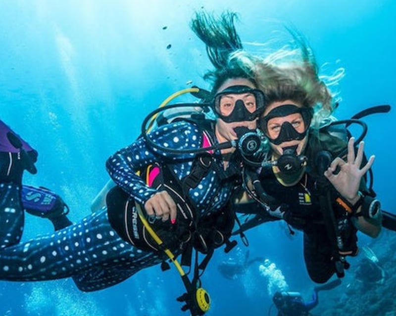2-Hour Scuba Diving Experience in Avalon