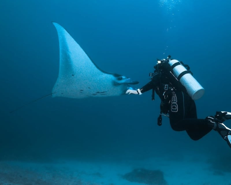 4-Hour Scuba Diving Charter in Mililani