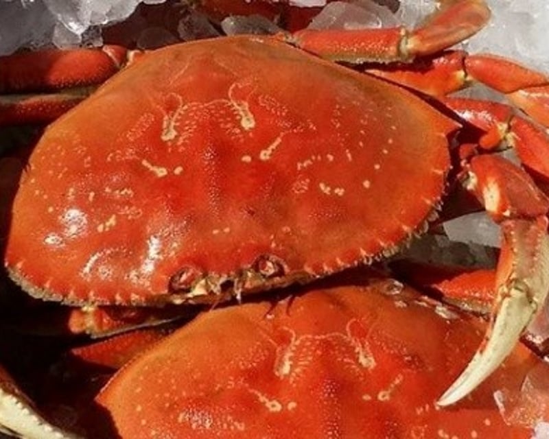 Columbia River Dungeness Crabbing Charter in Astoria