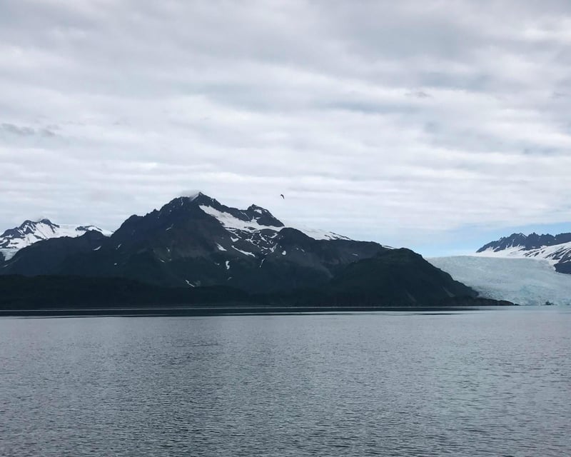 Seward to Northwestern Fjord Round-Trip Water Taxi