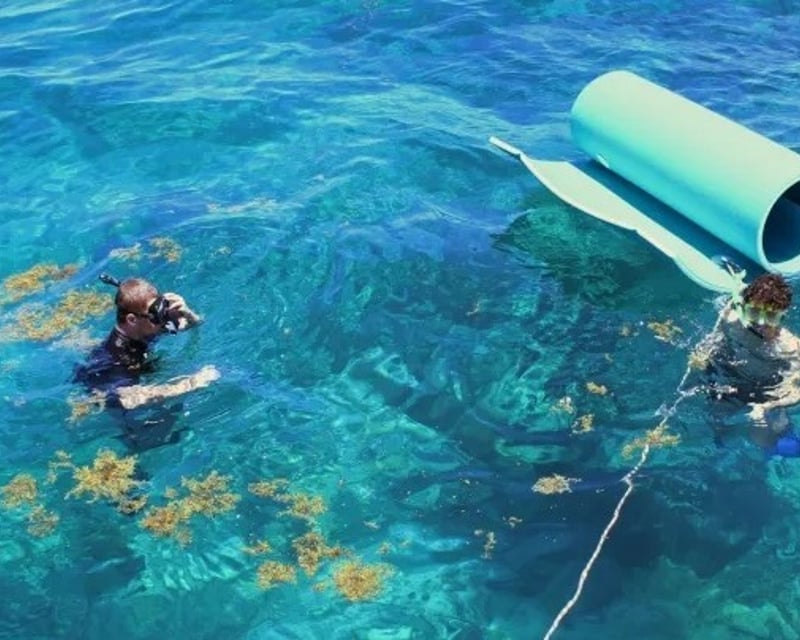 Private Reef Snorkeling Charter in Key West