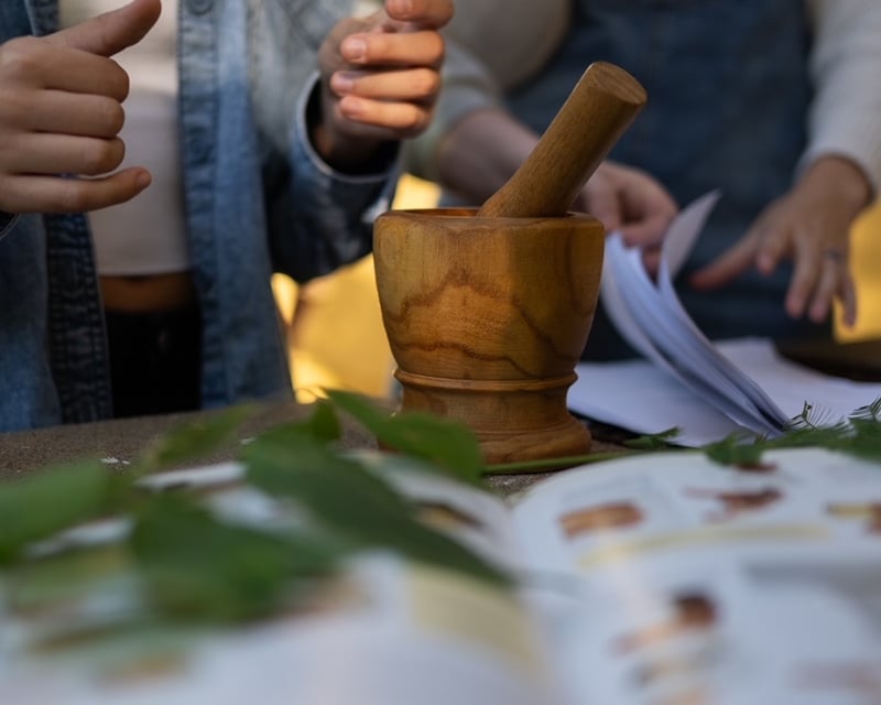 Beginner Herbalism Class on a Farm in Atchison