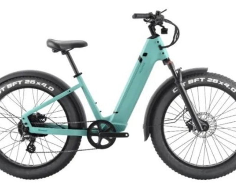 Fat Tire E-Bike Daily Rental in Amagansett
