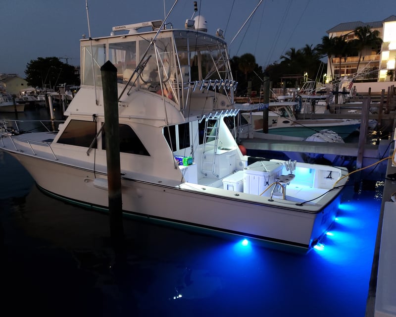 4-Hour Private Fishing Charter in Islamorada