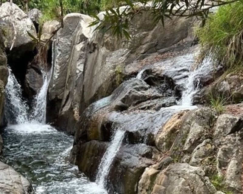 Private El Yunque Rainforest Waterfall & River Tour