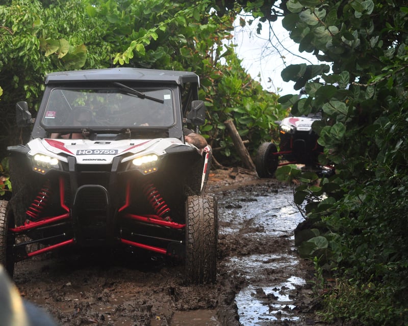 Self-Drive Buggy Tour of Northern St. Lucia