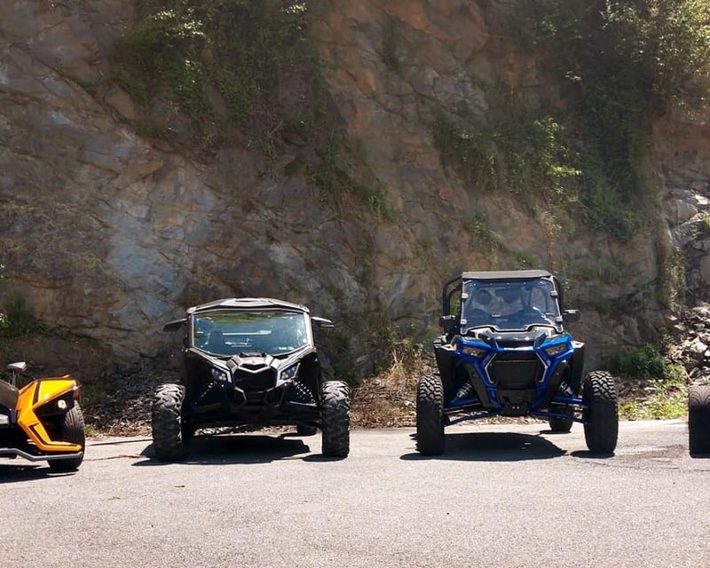 8-Hour UTV Rental in Townsend
