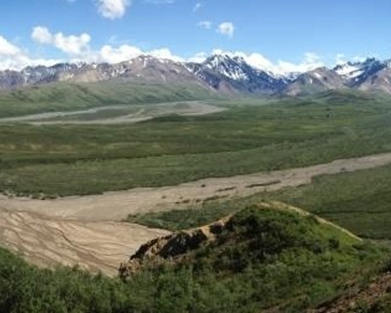 3-Hour Guided Hiking Tour in Denali National Park