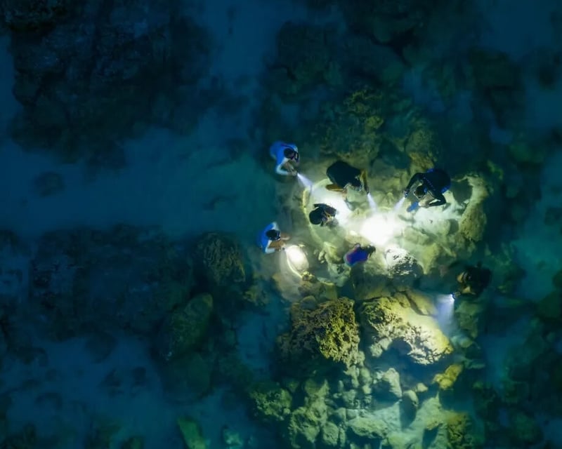 North Shore Night Snorkeling Tour