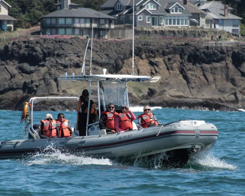 90-Minute Whale Watching on a 6-Passenger Boat