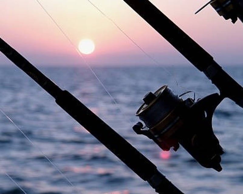 55' Tournament Sportfishing Charter in Palm Beach Shores