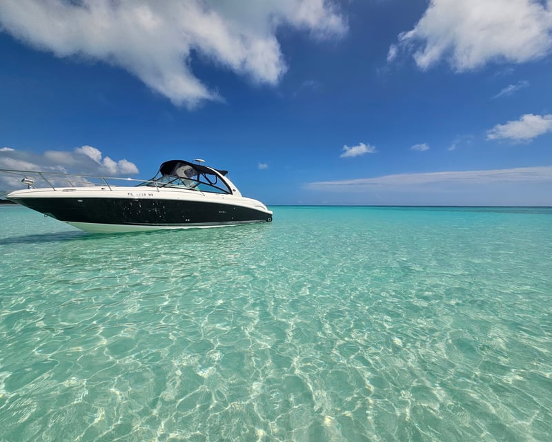 Private Sandbar Charter in Key West