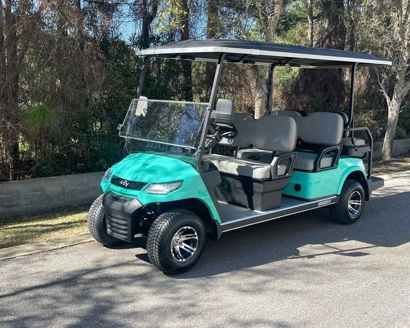 Street-Legal 6-Seat Golf Cart Rental in Destin