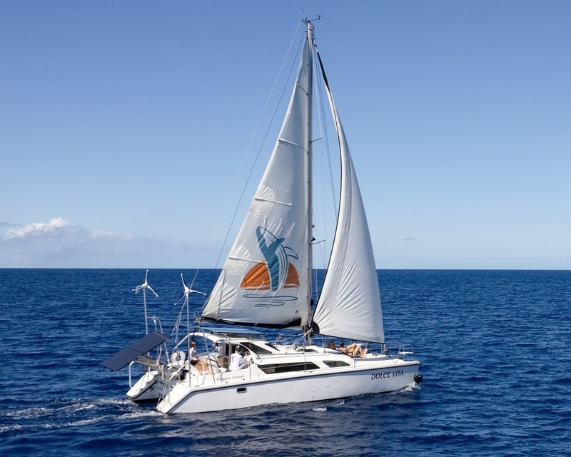 Private Electric Catamaran Sailing Charter Near Waimea