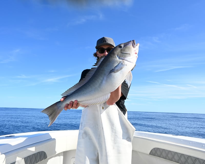 Private Pulley Ridge Offshore Fishing Charter from Naples