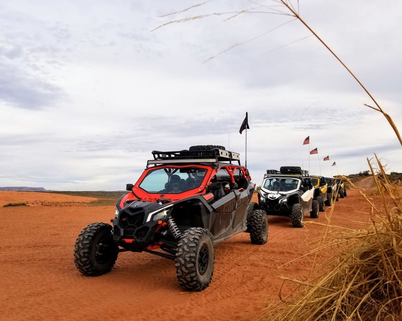 Drive a Guided 2-Hour UTV Tour in Hurricane