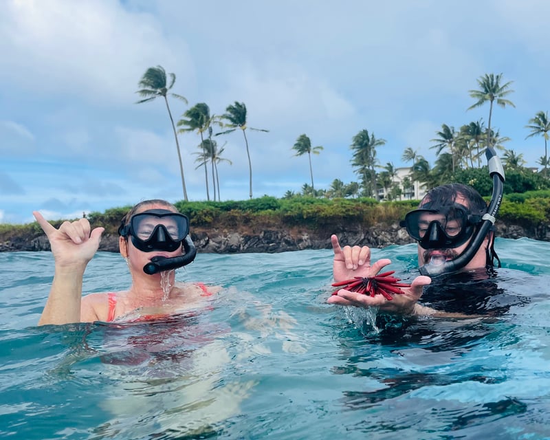 Olowalu Snorkel Tour in Lahaina