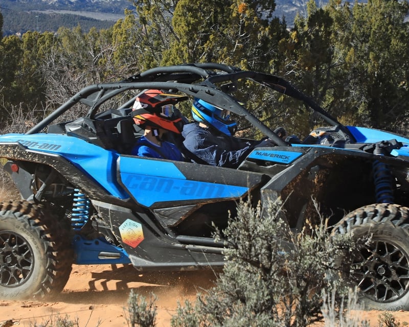 Self-Drive Backcountry UTV Tour Near Zion National Park