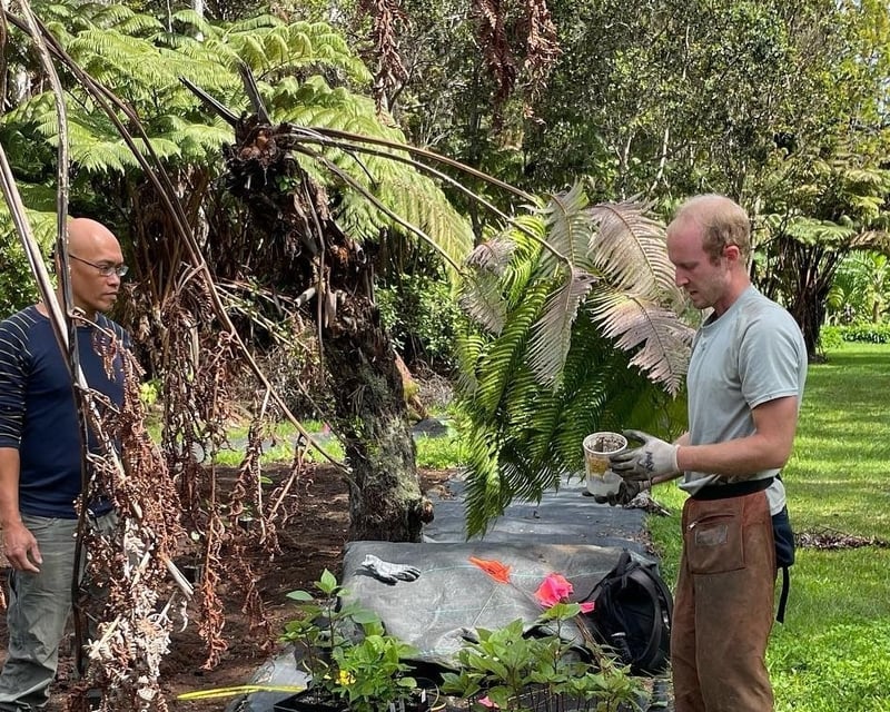 Māmaki Forest Farm Tour in Volcano