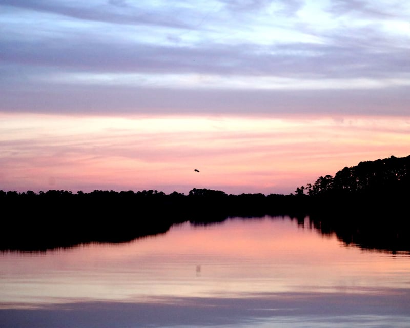 Sunrise or Sunset Cruise in Wilmington River