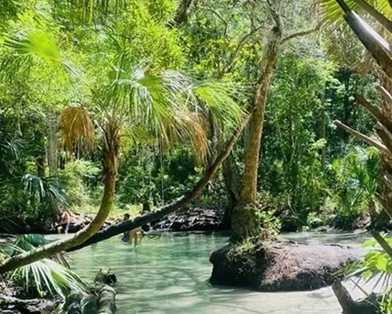 Chassahowitzka River Paddle & Swim to Seven Sisters