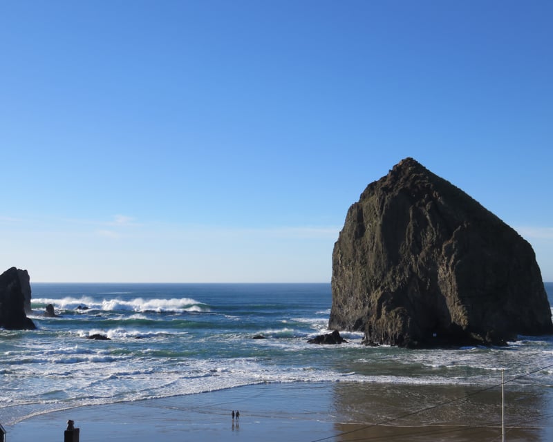 Choose a 6-Hour Oregon Sightseeing Guided Tour