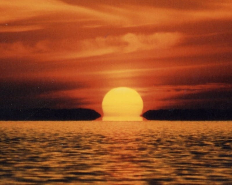 Private Sunset Mangrove Kayak Tour in Islamorada