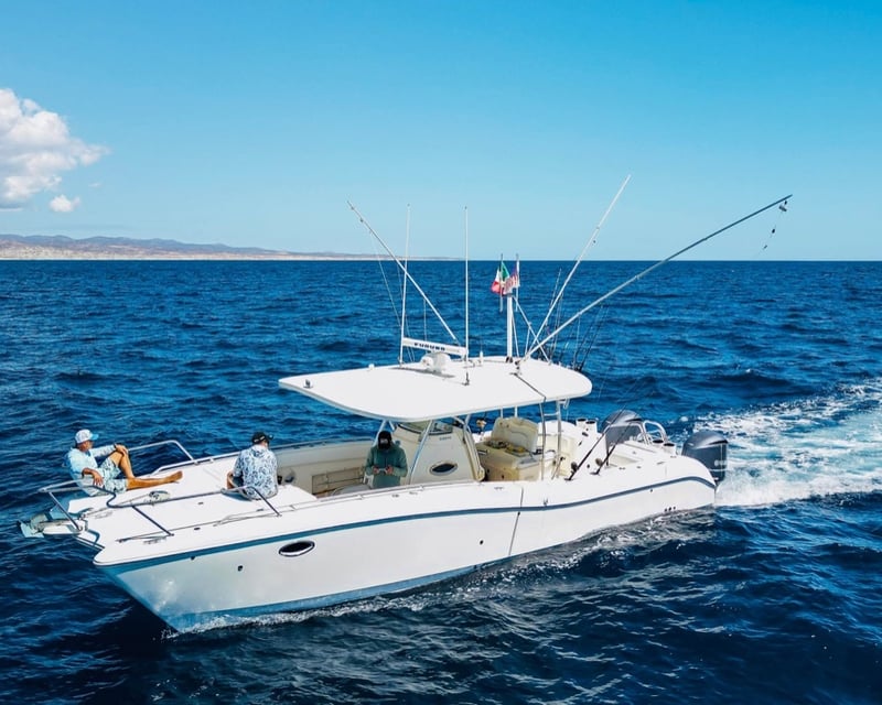 Private 33' Catamaran Fishing Charter in Cabo San Lucas