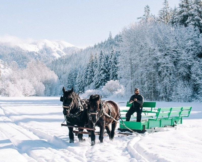 Private Horse-Drawn Sleigh Ride in Leavenworth