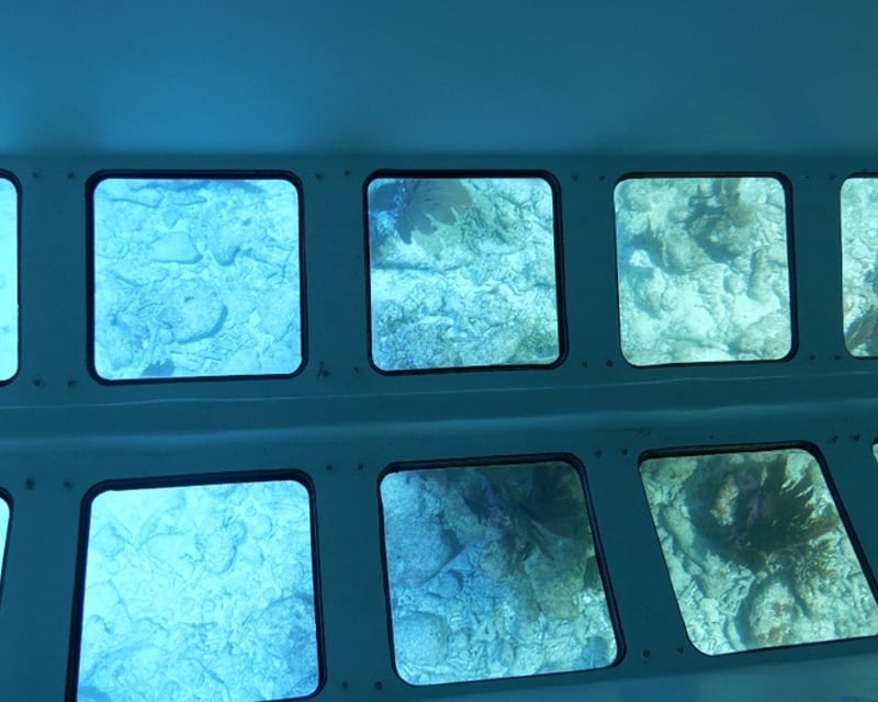 Islamorada 2.5-Hour Glass Bottom Boat Night Cruise