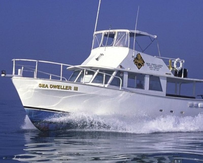 2-Reef Dive & Snorkel Trip in Key Largo