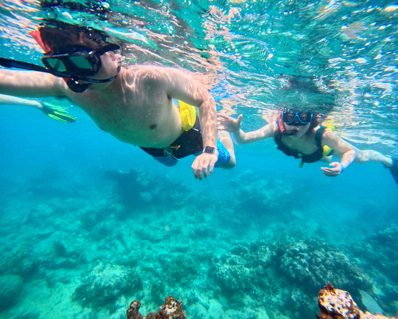 Beginner-Friendly Reef Snorkeling Tour in San Juan