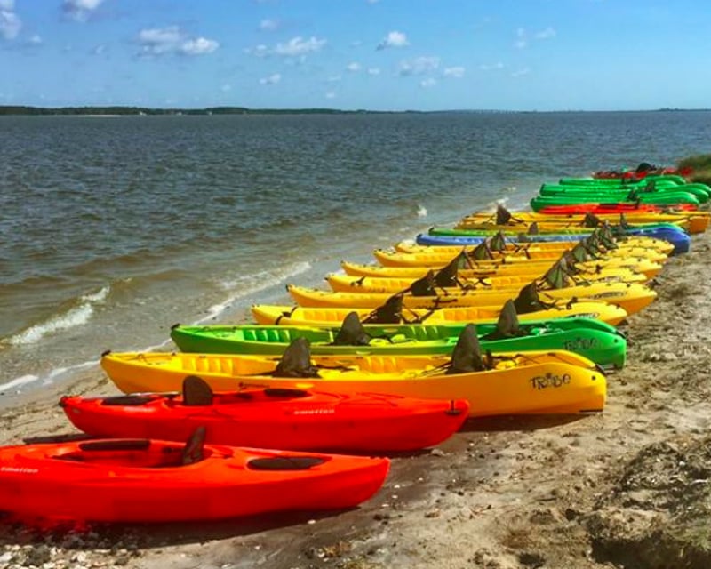 Full-Day Kayak & Paddleboard Rental Near Assateague