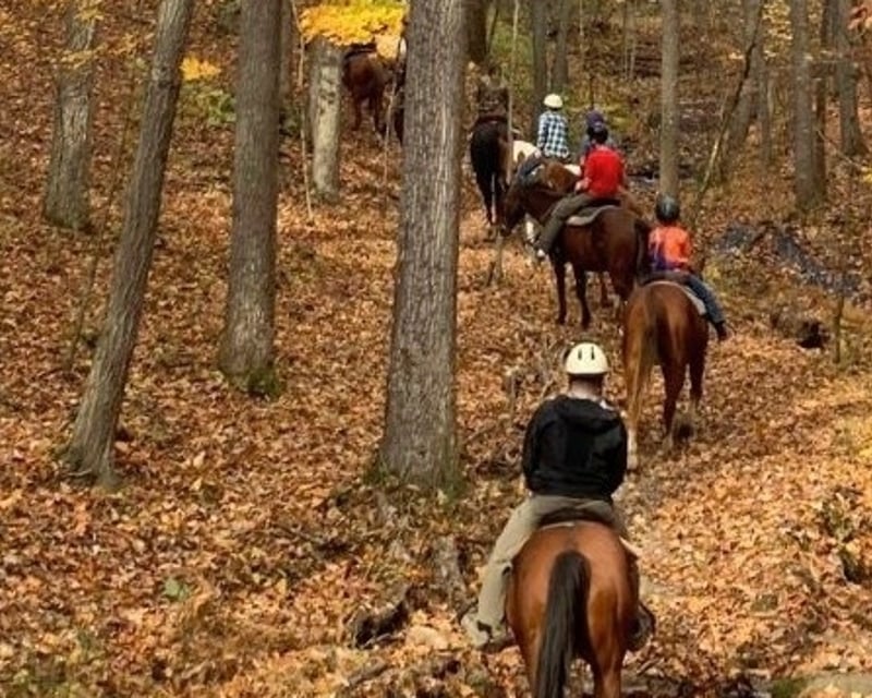1.5-Hour Guided Horseback Ride in Fort Valley