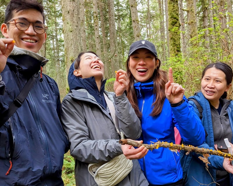 Beginner Mushroom Foraging Tour near Seattle