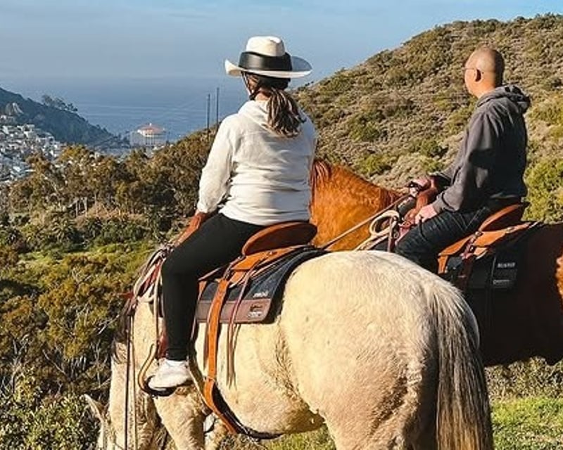 Guided Horseback Trail Ride in Avalon