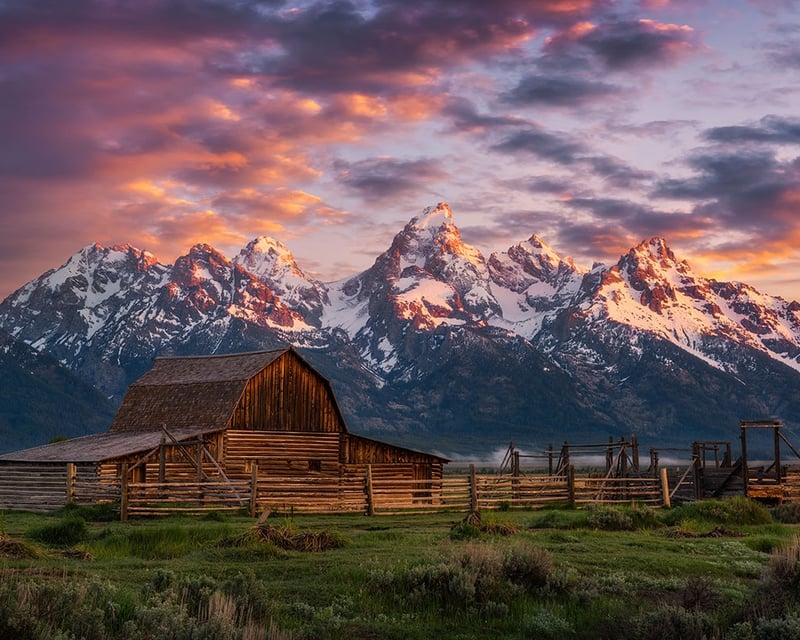 Sunrise & Sunset Wildlife Tour in Jackson Hole