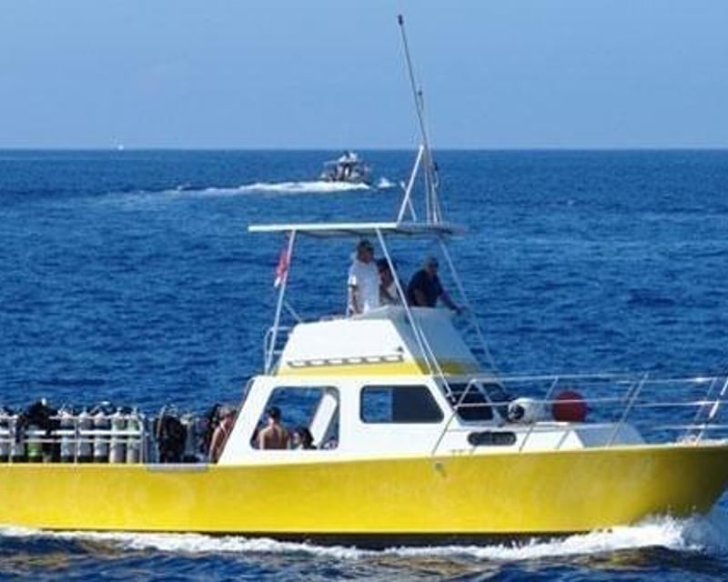 Private Snorkel & Dolphin Boat Charter in Kailua-Kona