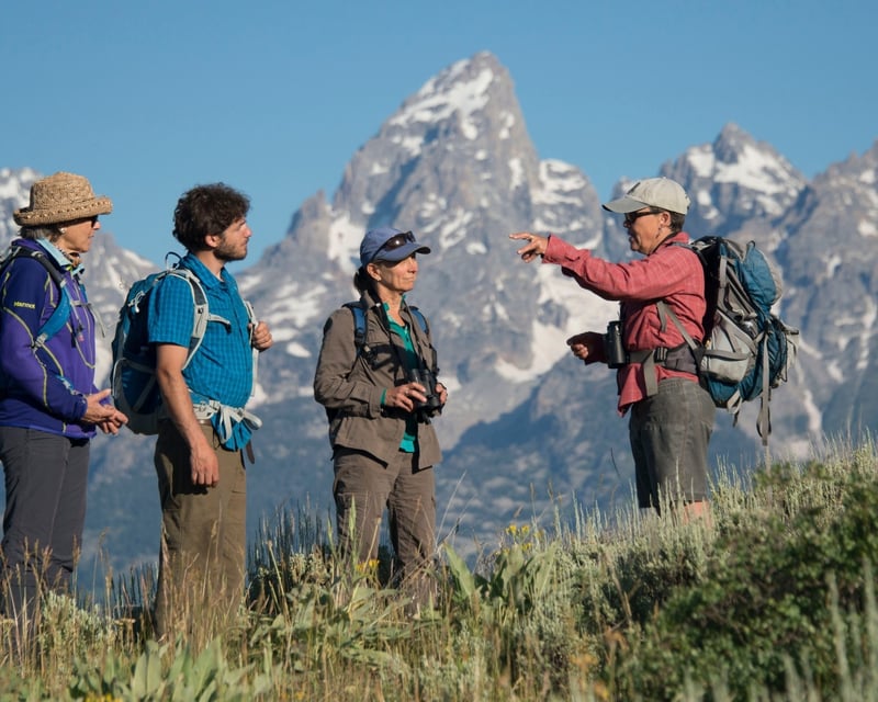 Naturalist Guided Hike in Jackson Hole
