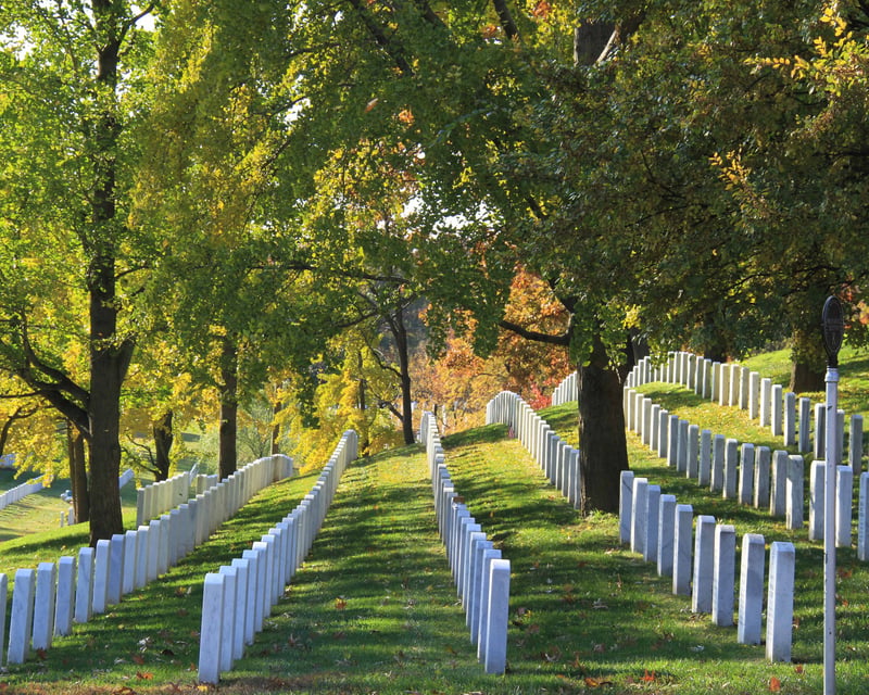 Arlington National Cemetery Guided Walking Tour