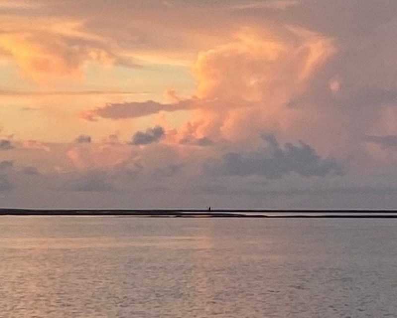 Sunrise Dolphin Tour in Tybee Island