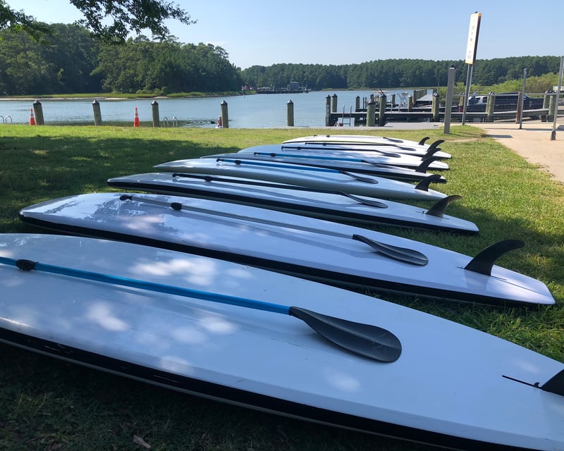 Rent a Stand-Up Paddleboard in Virginia Beach