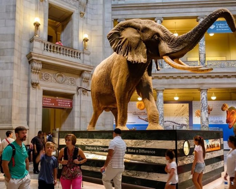 Private Family Tour of American Museum of Natural History