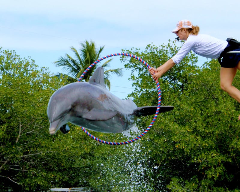 8-Hour Islamorada Theater of the Sea Tour