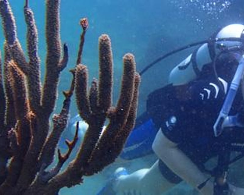 San Juan Shore Dive With Underwater Caverns