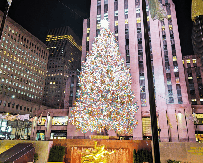 New York City Holiday Lights Guided Tour