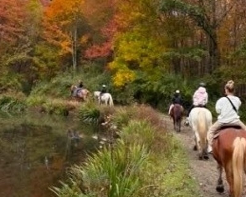 Fall Foliage Horseback Trail Ride in Pine Bush