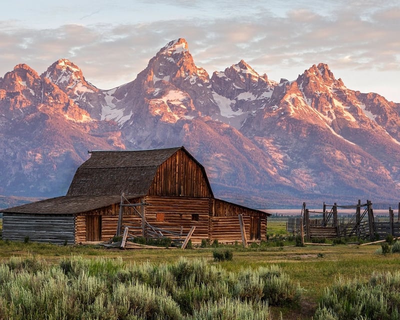 Half-Day Grand Teton National Park Tour from Jackson