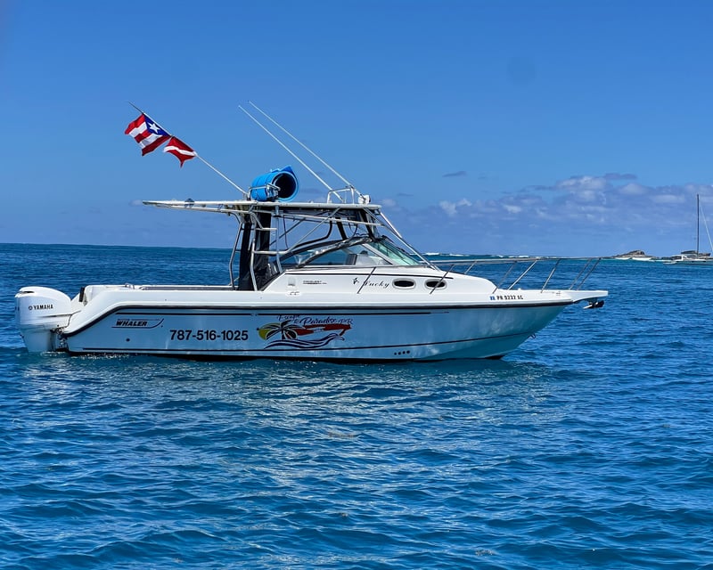 Full-Day Culebrita Snorkel Boat Charter from Fajardo