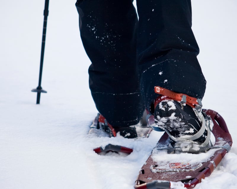 Beginner-Friendly Snowshoe Rental in Duluth